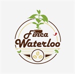 FINCA WATERLOO