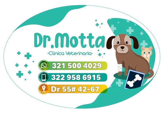 Dr. Motta Vet 