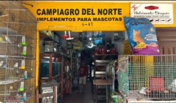 Campiagro del Norte  