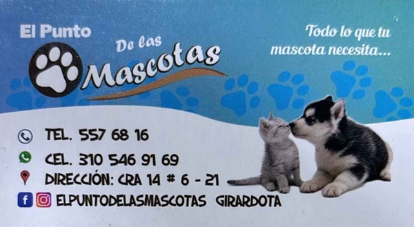 El punto de las mascotas 