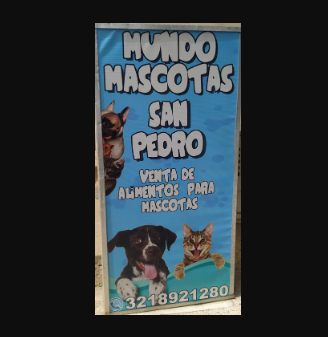 Mundo Mascotas   