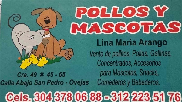 Pollos y Mascotas 