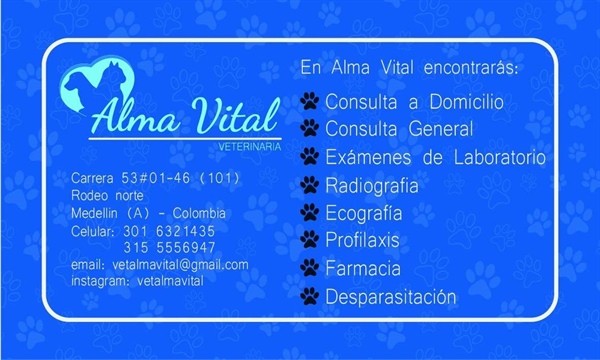 Alma Vital Veterinaria 