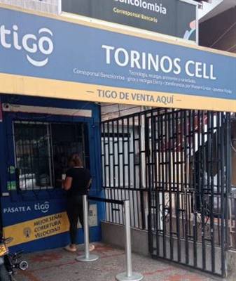 Torinos Cell 