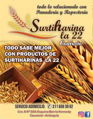 Surtiharina La 22 