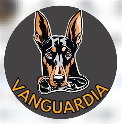 Calzado Vanguardia  