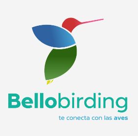 Bellobirding   