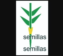 Semillas & Semillas 