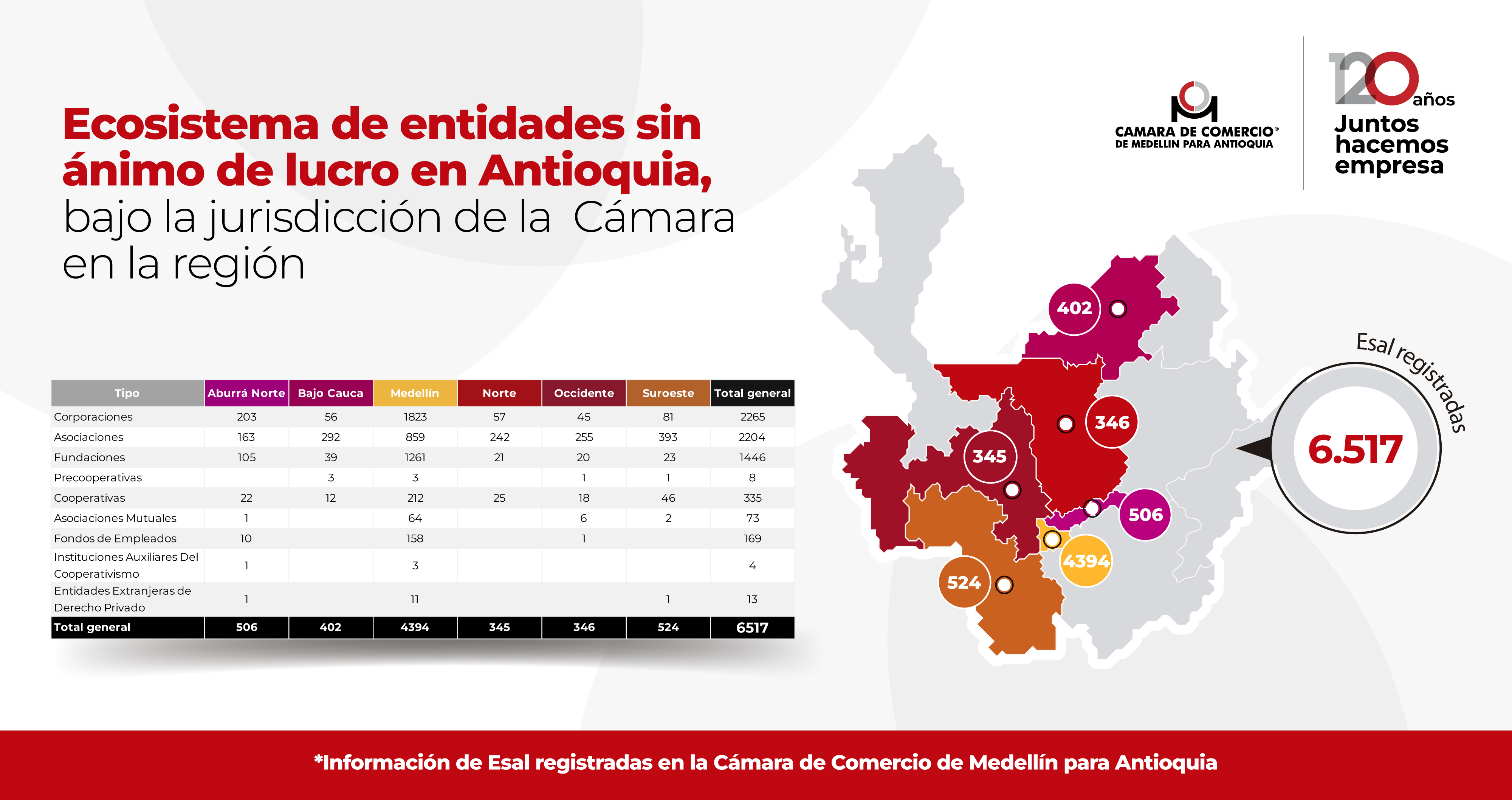 Infografías Ecosistema Esal