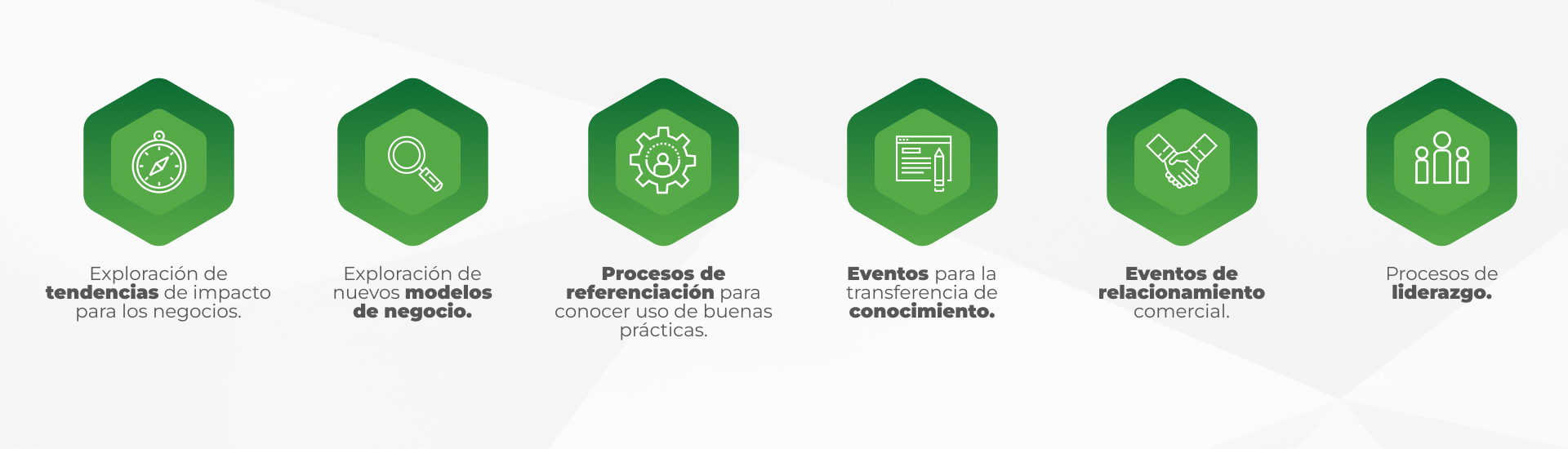 Acciones Cluster Habitat Sostenible