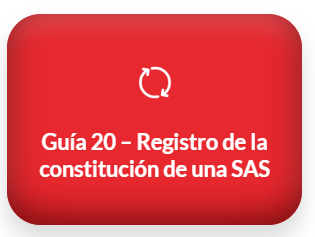 Guía 20 Registro Constitución SAS